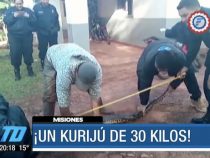 Enorme Anakonda gerettet