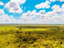 Eine Million Hektar mehr für Schutzgebiete an der paraguayischen Grenze