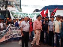 Falsche Bauern protestieren in Asunción