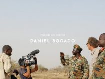 Daniel Bogado: Bei Netflix erfolgreich