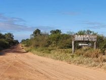 Chaco: Staatsanwaltschaft interveniert bei illegaler Rodung von 1.600 ha