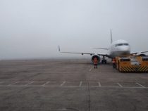 Nebel: Das Beste daraus machen