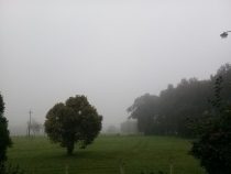 Dicke Nebelsuppe und drohendes Unwetter: Paraguay steht ein radikaler Wettersturz bevor