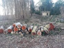 Campesinos zerstören Kulturflächen und roden Wälder