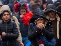 Flüchtlinge: Was wollen sie hier?