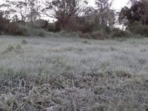 Erster Frost im Süden des Landes
