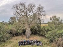 Wettbewerb “Colosos de la Tierra“ 2026: Anmeldefrist bis 19. August verlängert