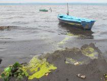 Das Süßwasser ist nebensächlich