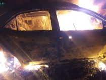 Auto prallt gegen Baum: Fahrerin verbrennt im Fahrzeug