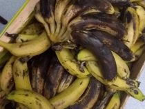 Faule Bananen