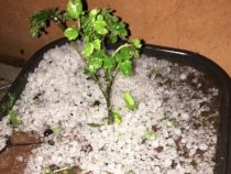 Hagelschäden nach Gewitter
