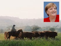 Eigentlich nicht zum Lachen