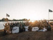 Kampf dem Müll: So wird das Land sauberer