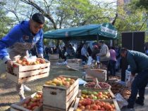 Wucherverdacht im Regal: Warum der Tomatenpreis trotz guter Ernte hoch bleibt