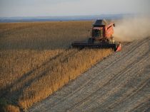 Einsatz von Agrochemikalien: UN verurteilt Paraguay