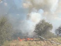 Feuer neben Feuer und die Brandstifter