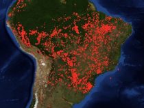 Was gehen uns die Waldbrände im Amazonas an?