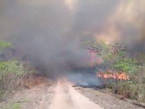Waldbrände noch lange nicht unter Kontrolle