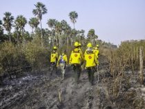 Ranger warnt seit Jahren vor Waldbränden
