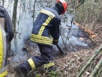Bei größter Hitze und Nordwind: 200 ha brennen in einer Woche ab