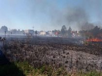 Feuerwerkskörper löst Großbrand aus