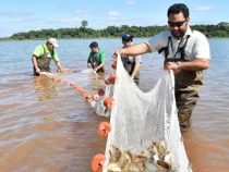 Neuer Rekord in der Fischproduktion