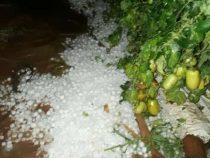 Nicht alle wurden vom Unwetter erfasst