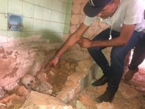 Skelettteile im ehemaligen Haus von Stroessner entdeckt