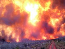 Evakuierungen wegen unkontrollierbarer Waldbrände
