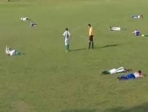 Wespenschwarm unterbricht Fußballspiel
