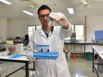 Antibiotika und andere Schadstoffe werden im Ypacarai See untersucht