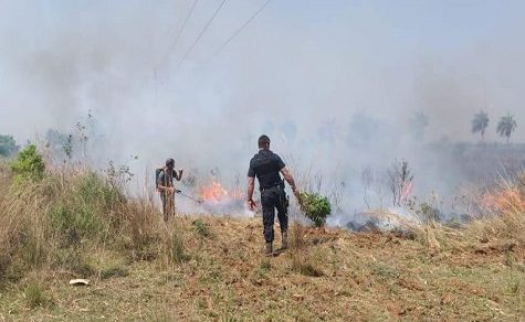 Bis zu 10.000 Tagessätze Bußgeld: Paraguay geht hart gegen Brandstifter vor
