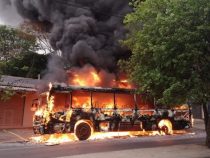 Bus brennt vollkommen aus