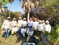Honig aus dem Pantanal: Produkt ohne Grenzen
