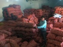 Die paraguayische Regierung investiert 1,6 Millionen US-Dollar in den Anbau von Kartoffeln