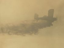 Die Flammen 🔥 in der Stadt