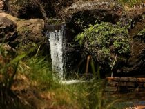 Park mit historischer Vergangenheit eingeweiht