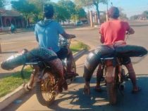 Zwei Surubi auf dem Motorrad