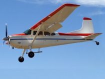 Saatbomben aus der Luft zur Wiederaufforstung