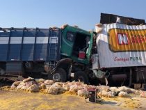 Frontalzusammenstoß von zwei LKW: Ein toter Fahrer und der andere alkoholisiert