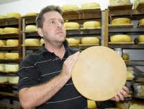 Schweizer Käse liegt im Trend
