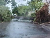 Unwetter: Eine Schneise der Verwüstung