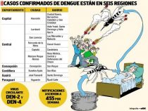 Dengue Epidemie bestätigt, aber es dürfte viel schlimmer kommen