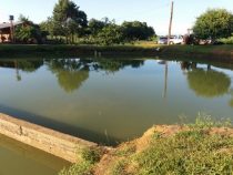 Angler ertrinkt in Teich
