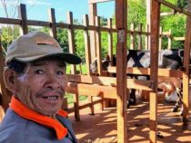 Bevölkerung der Indigenen wächst jährlich um 12% und fordert mehr Land