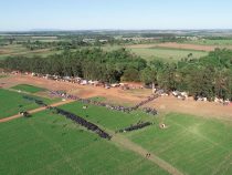 Mennoniten vor der Landbesetzung