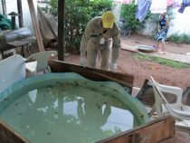 Gebrauch von Chlor in Pools angemahnt