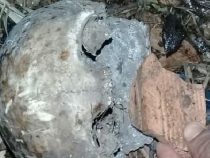 Totenschädel am Flussufer entdeckt