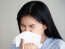 Dengue-Fieber ist riskanter als das Coronavirus