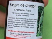 Drachenblut gegen Dengue-Fieber